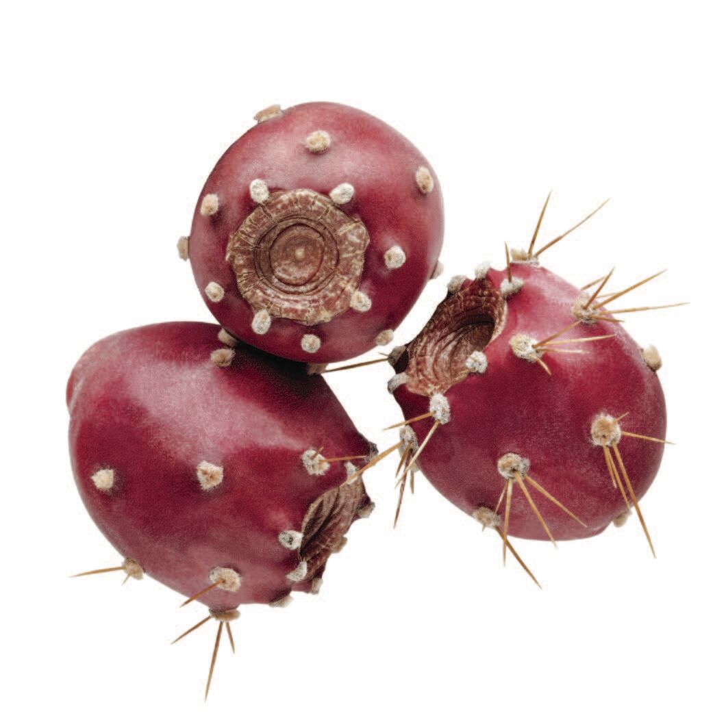 Prickly Pear Tuna.jpg